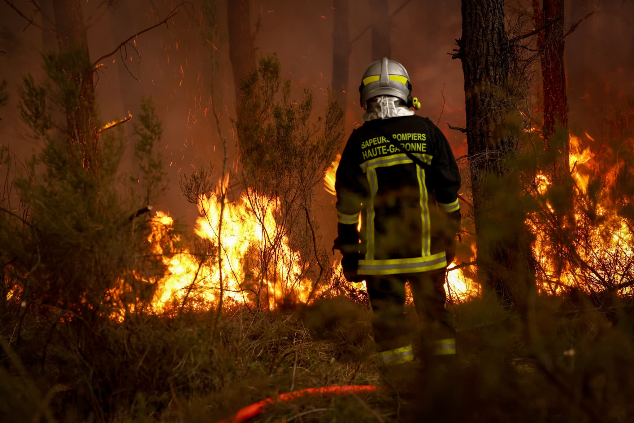 Incendies en Gironde: Pourquoi ces forêts sont-elles si vulnérables aux feux?