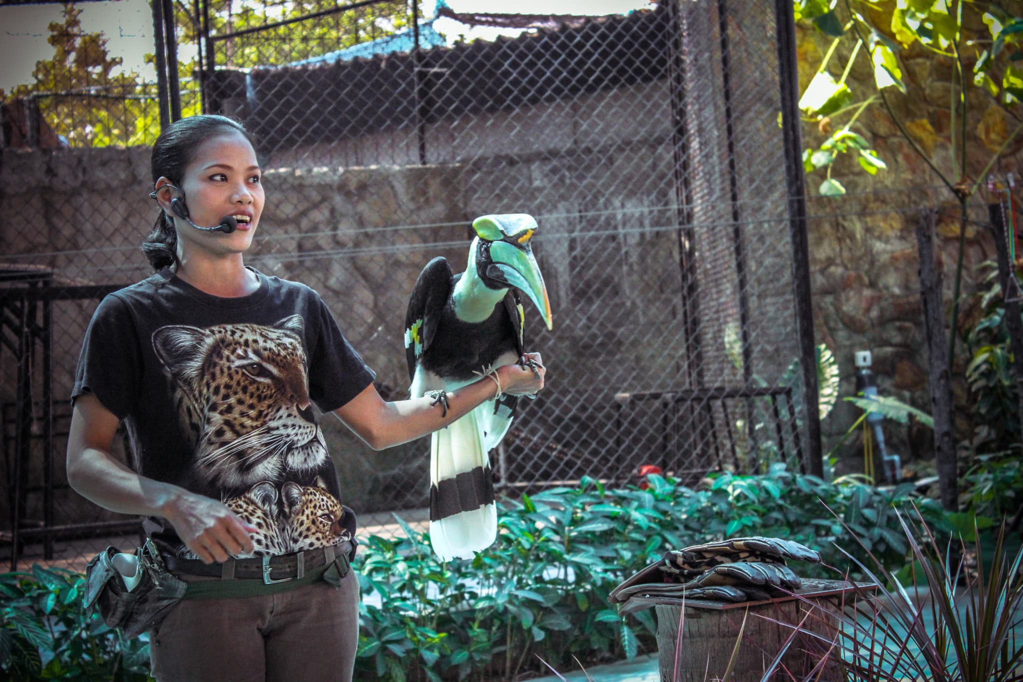 Après des comportements déplacés: Un Français interdit son parc animalier aux Israéliens