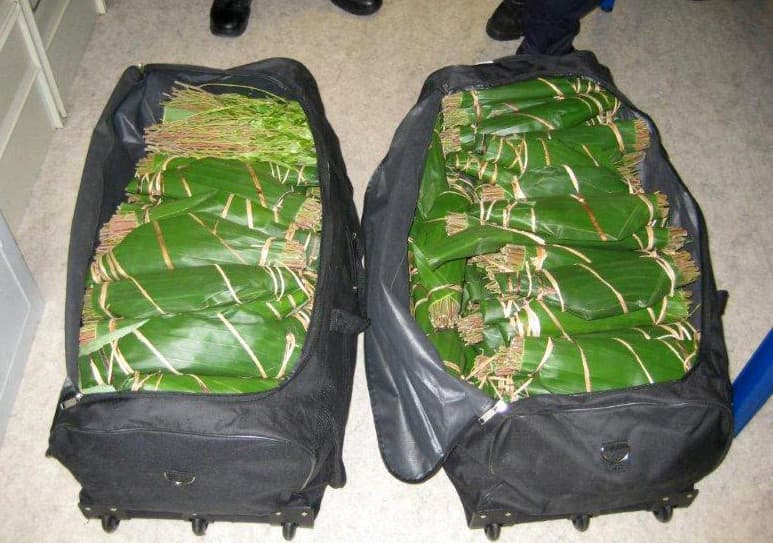 Près de 150 kilos: Dix mois de prison pour un Suisse arrêté avec sept valises de khat