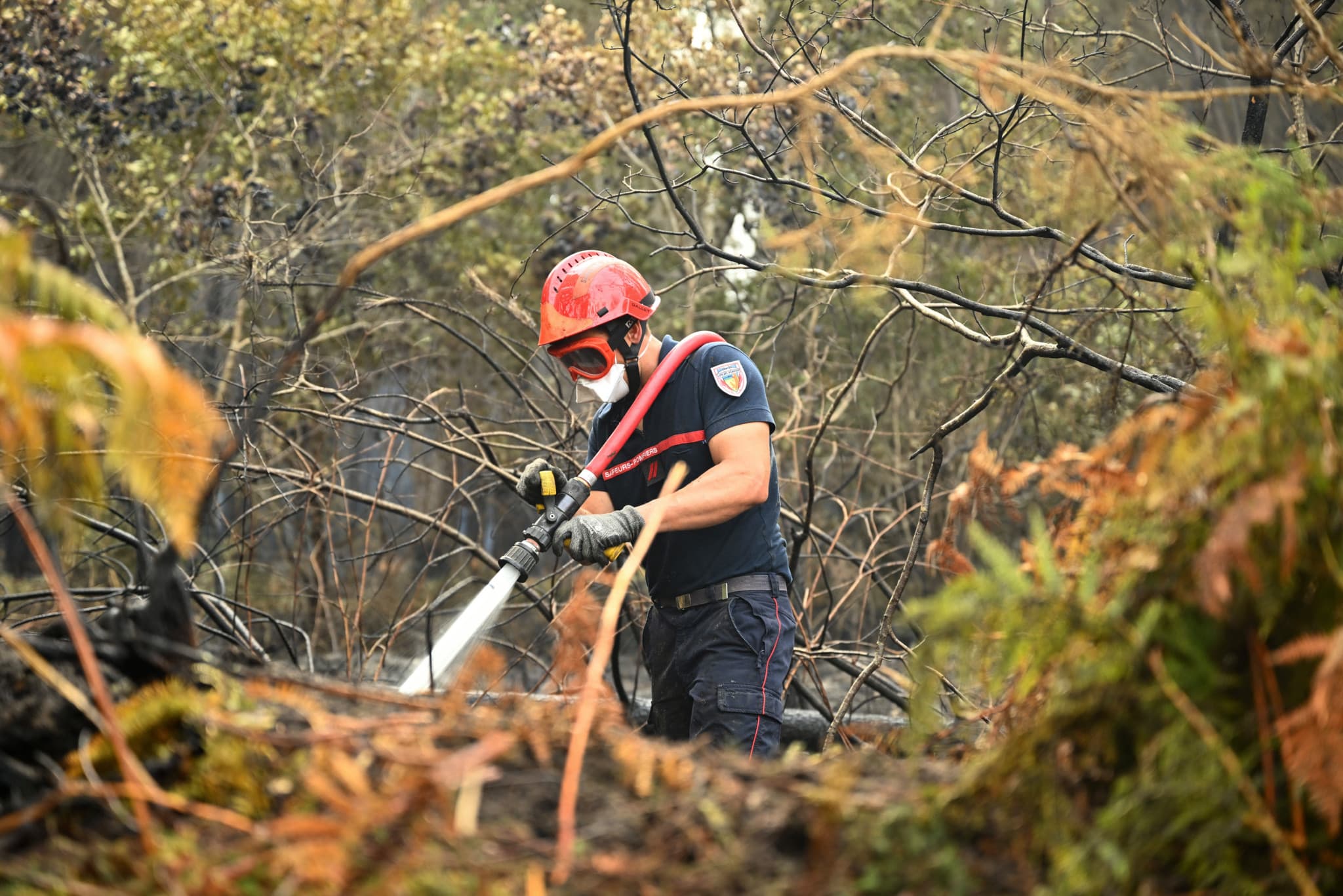 Canicules, sécheresse et incendies: L’été a coûté 16 milliards d’euros à la France