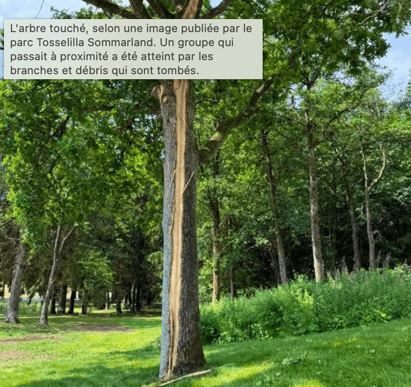 Suède: La foudre frappe un arbre dans un parc d’attractions, plusieurs blessés