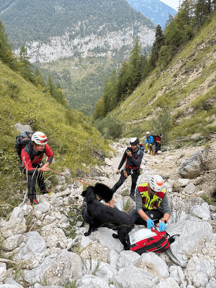 Sauvetage en Autriche: Son labrador veille sur lui toute la nuit après sa chute en montagne