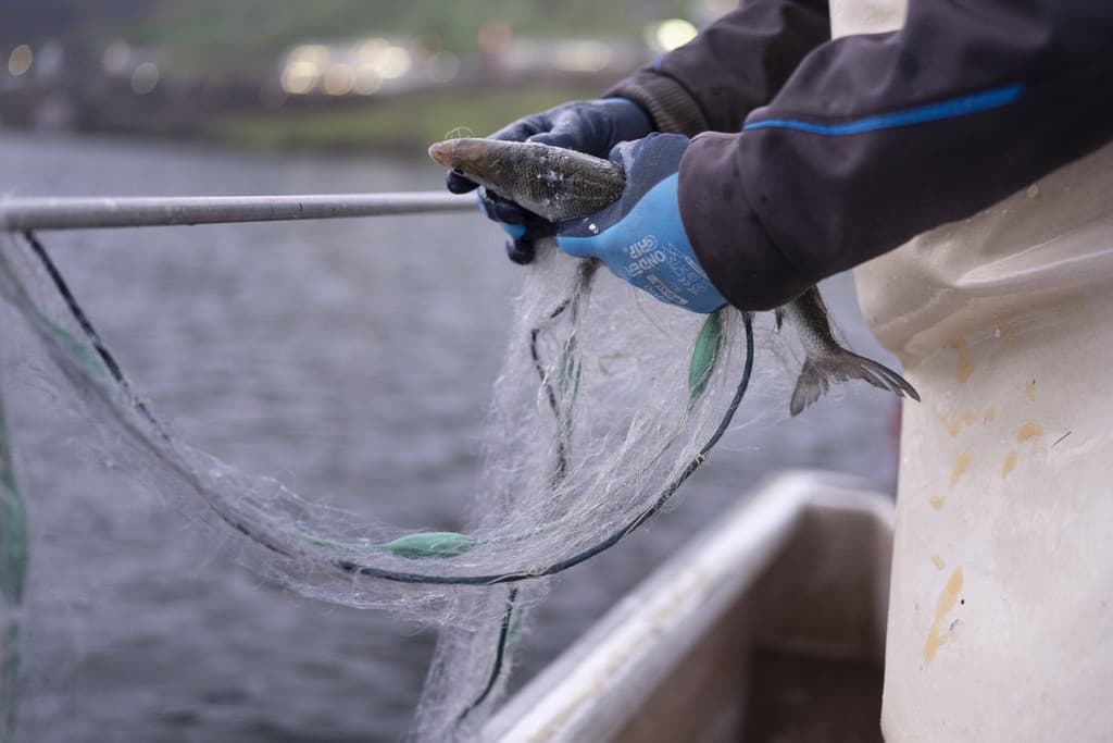 Pollution aux PFAS: La dépollution ne traiterait que 2% des émissions