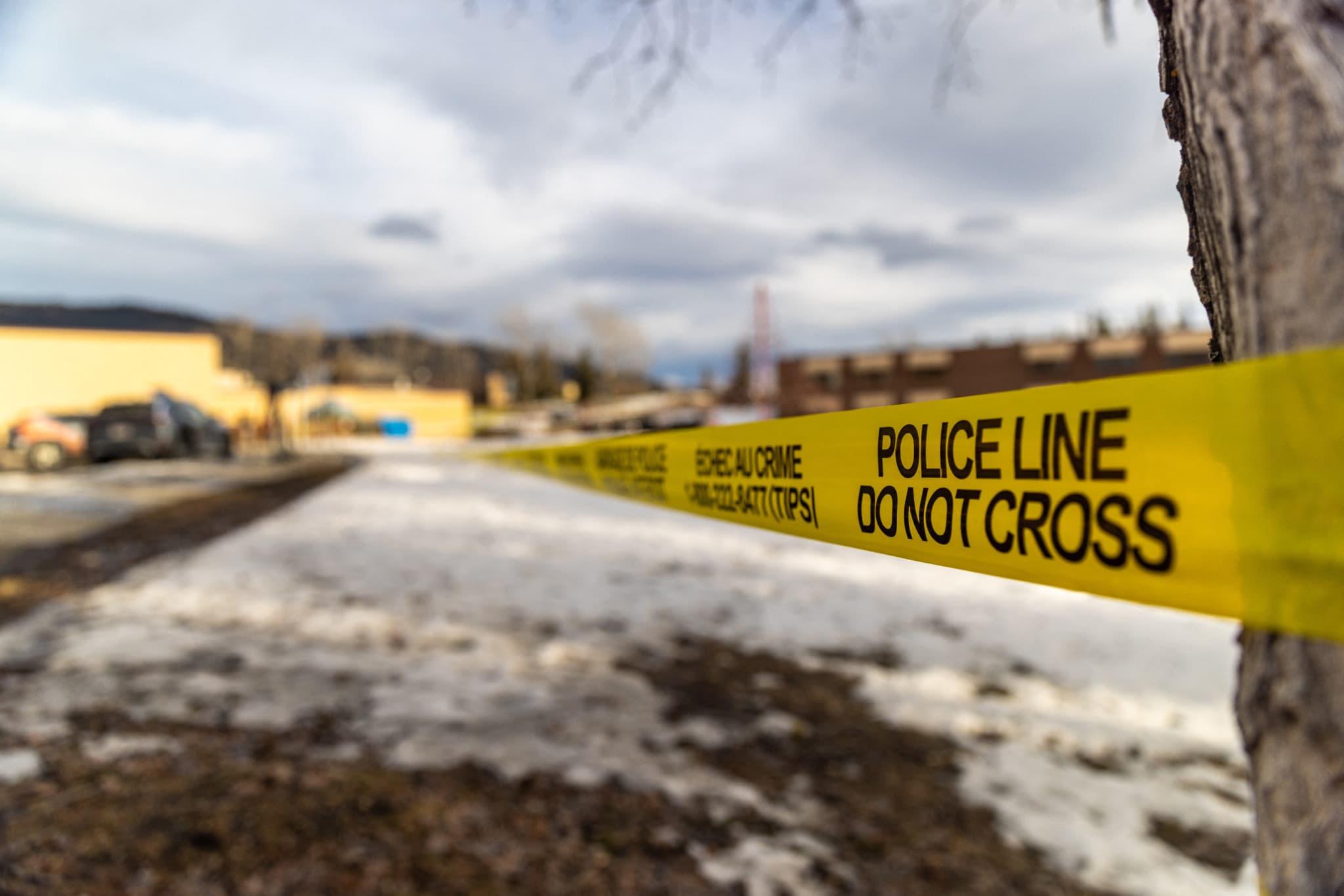 Procès en Californie: OpenAI sur le banc des accusés après la fusillade qui a choqué le Canada