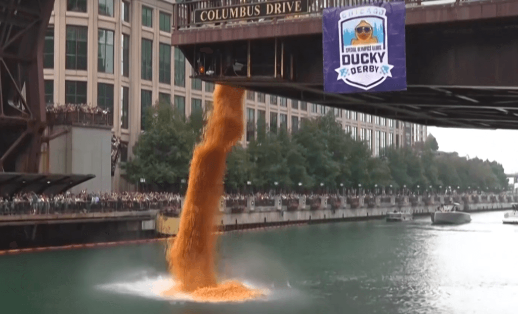 Chicago: Une course de 90 000 canards rapporte un demi-million de dollars