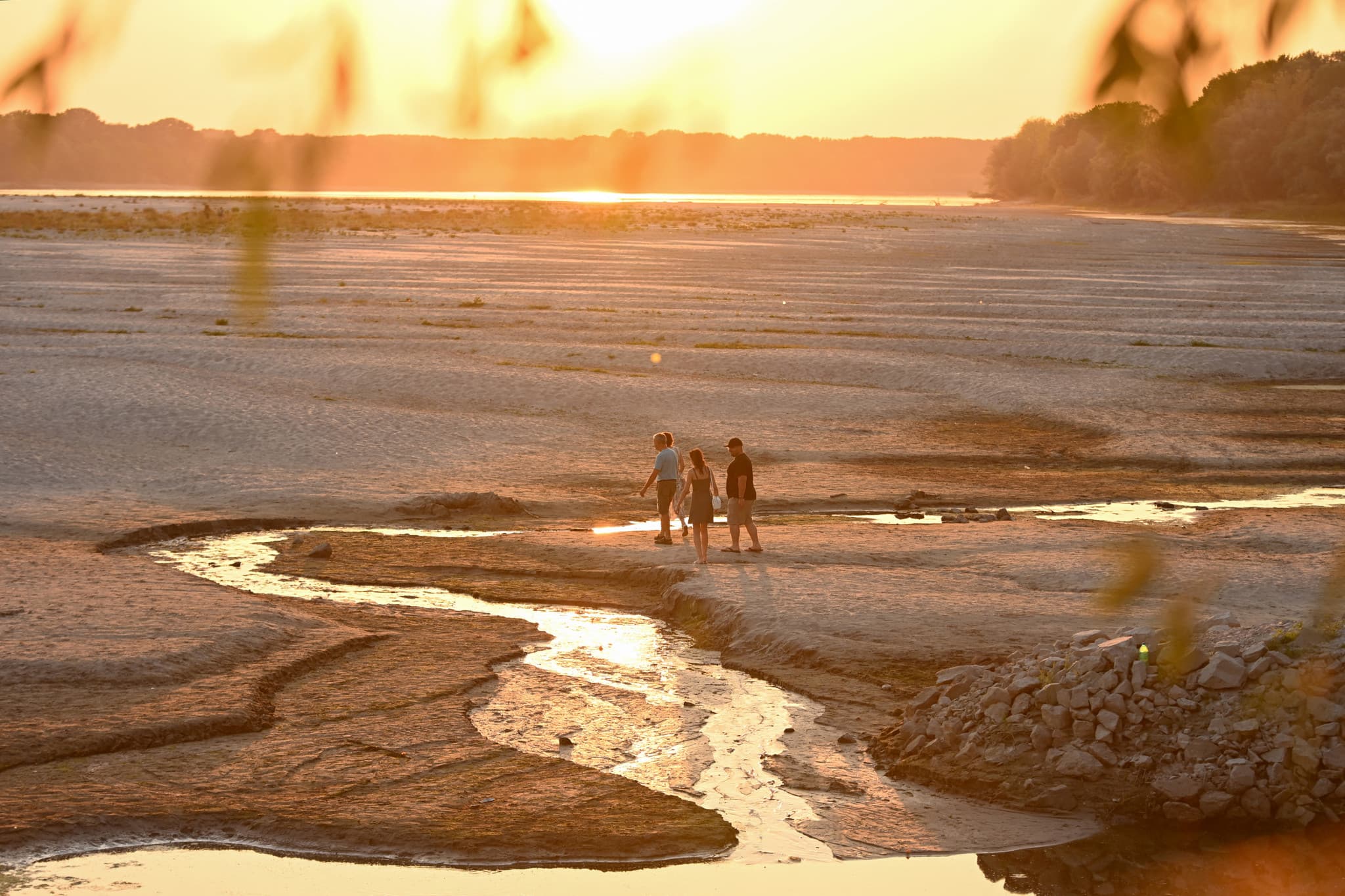 En vidéo: Les images du Danube desséché impressionnent
