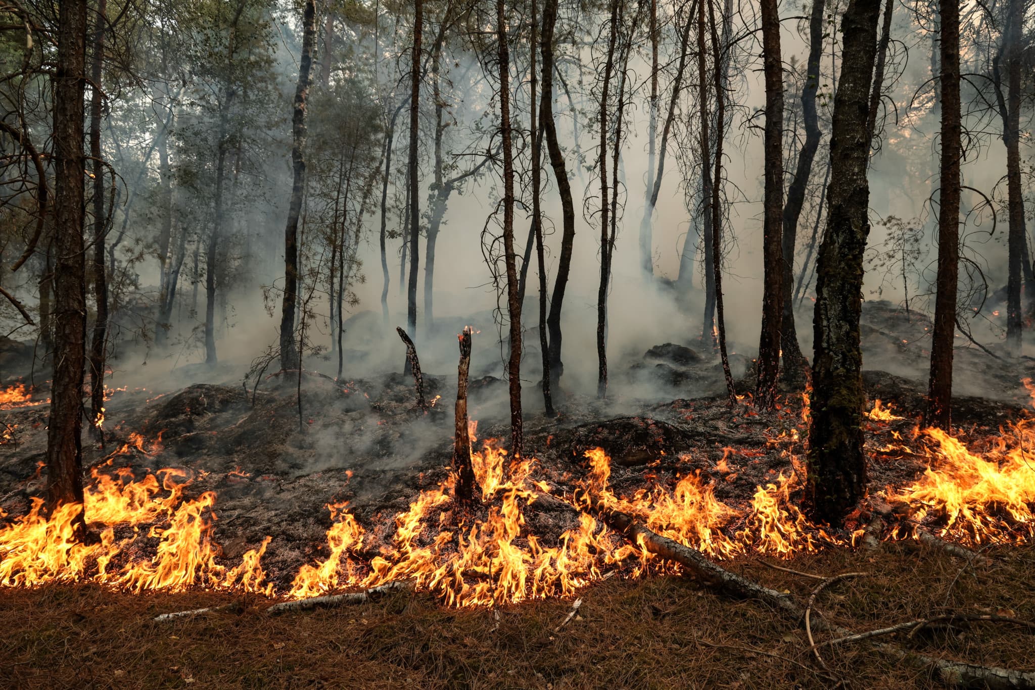 Actes criminels: Qui sont les pyromanes et pourquoi ils boutent le feu