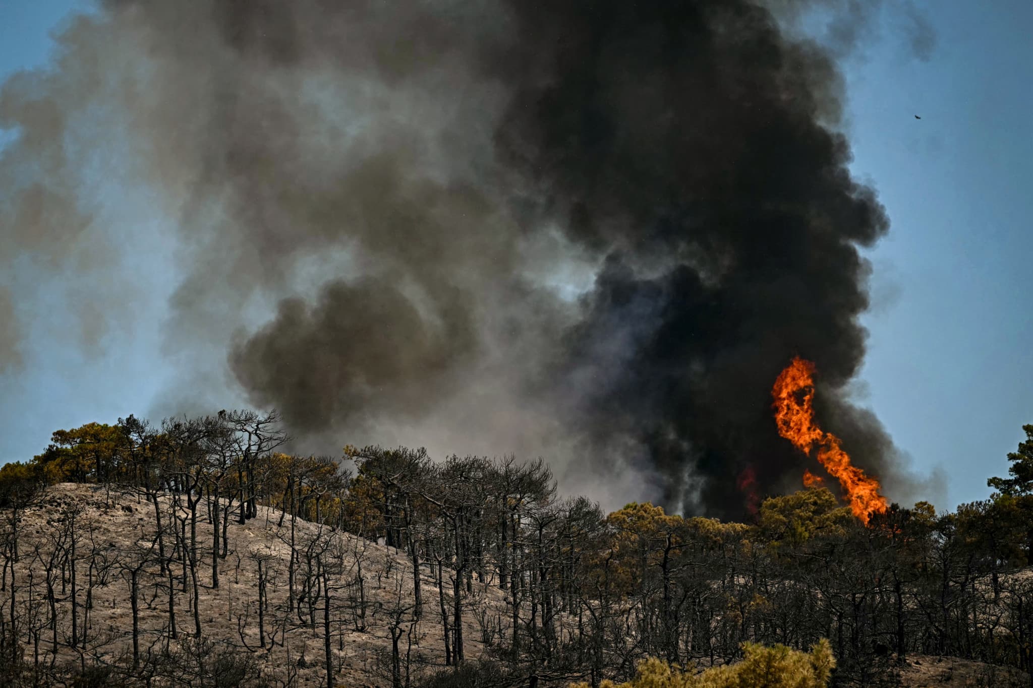Incendies dans le sud de la France: Un homme en garde à vue pour neuf départs de feu dans l’Hérault