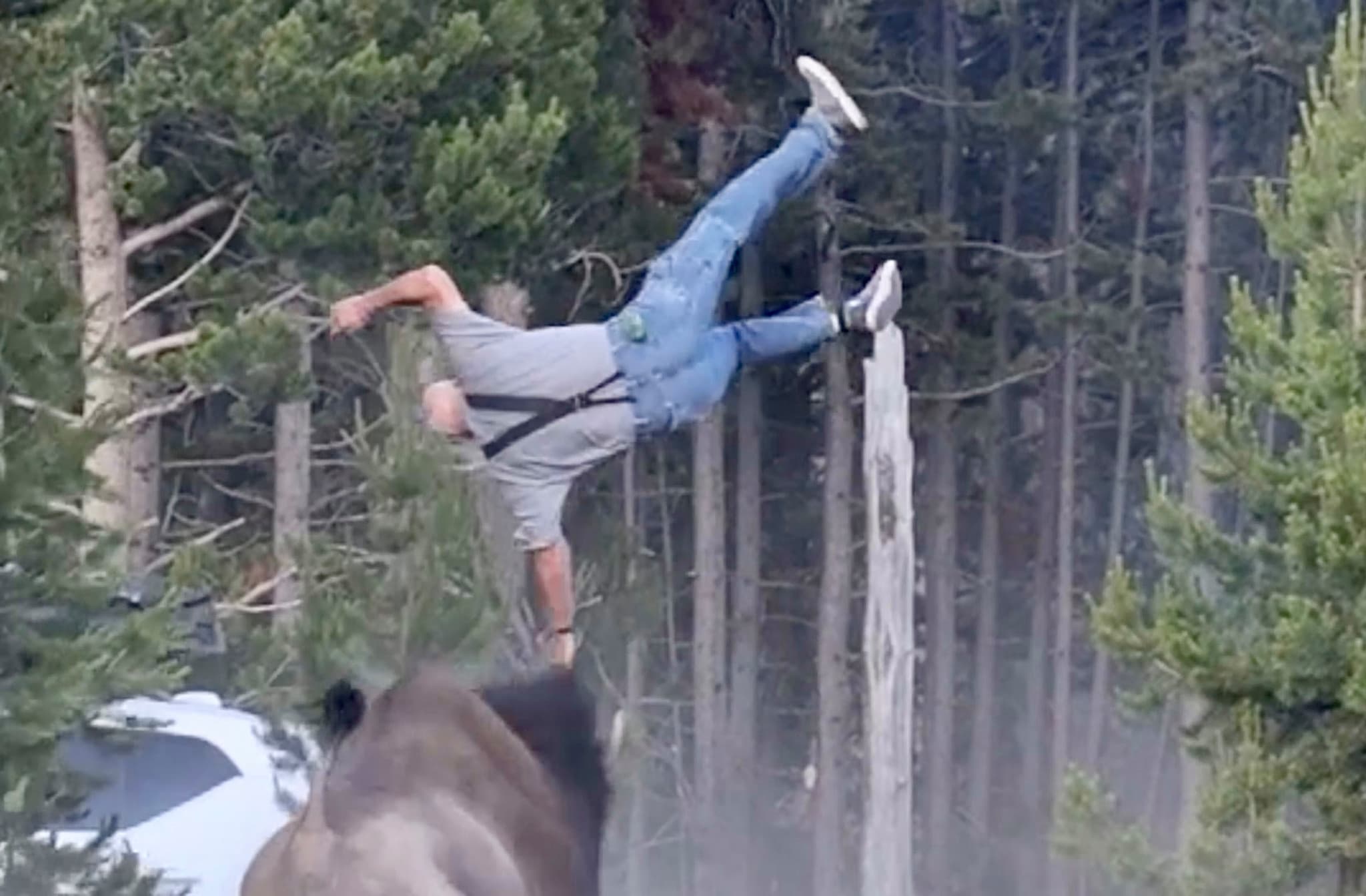 Parc de Yellowstone: Un bison encorne un touriste et le projette dans les airs