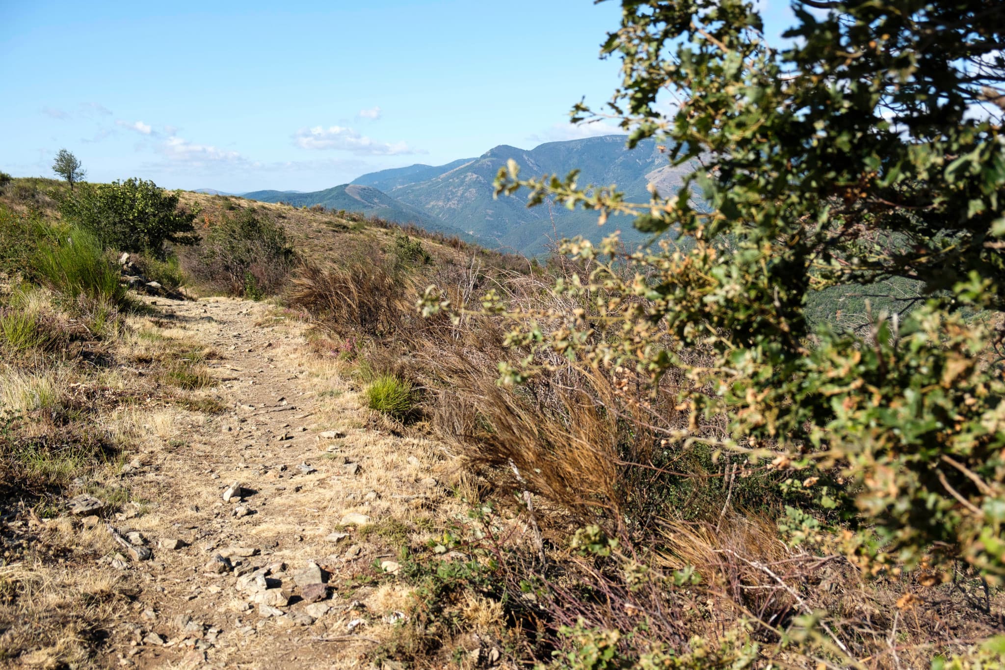 Chablais français: Un randonneur survit à une chute de 200 mètres grâce à son chien