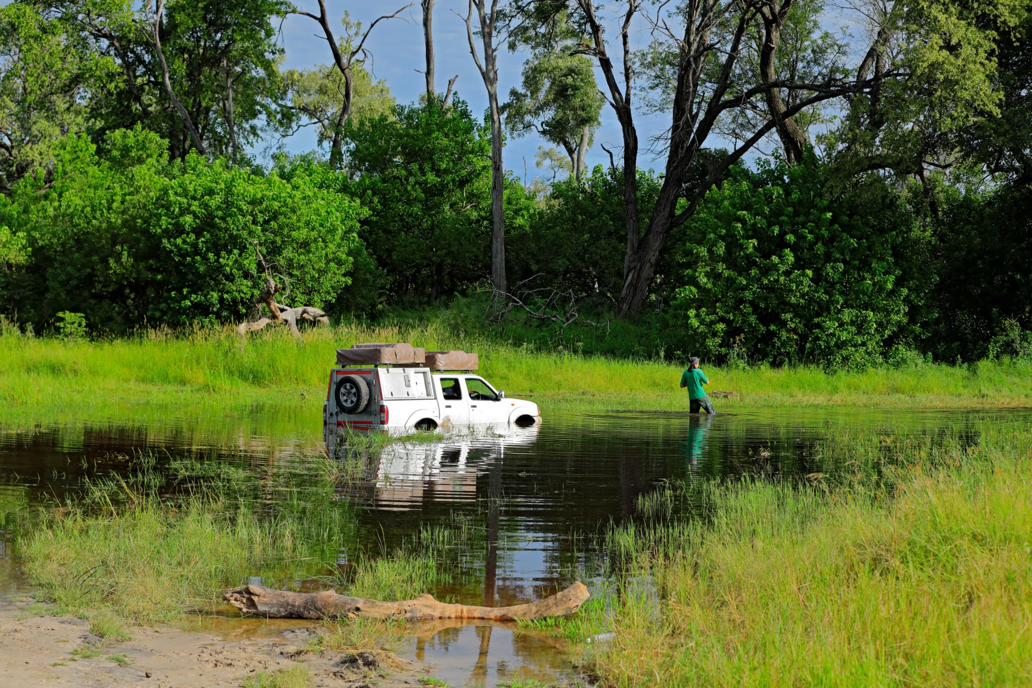 Accident en Tanzanie: Quatre touristes suisses plongent dans une rivière infestée de crocodiles au Serengeti