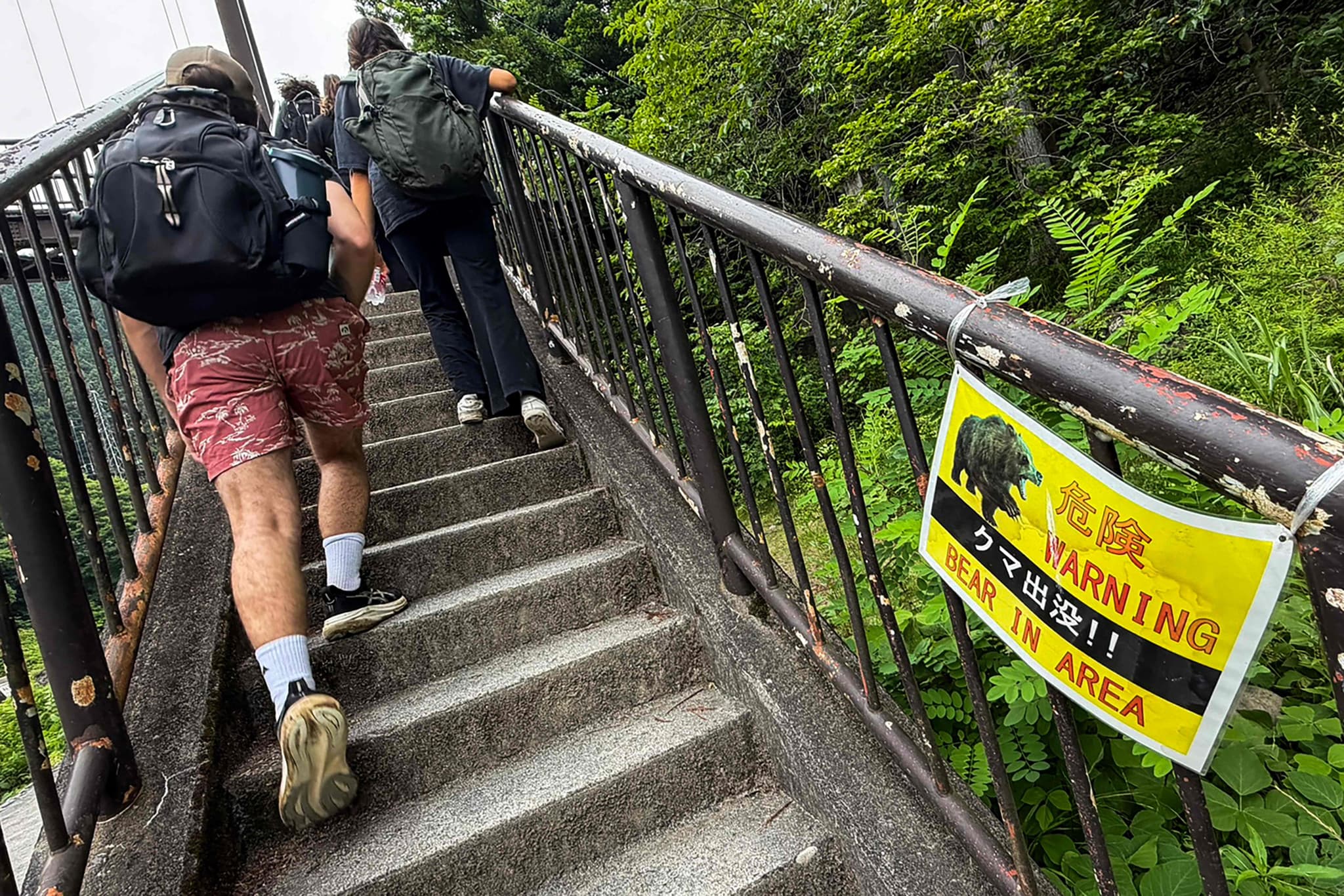 Japon: Tokyo arme ses écoles de sprays anti-ours face à la hausse des attaques