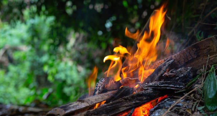 Appel à la prudence pour les feux en forêt