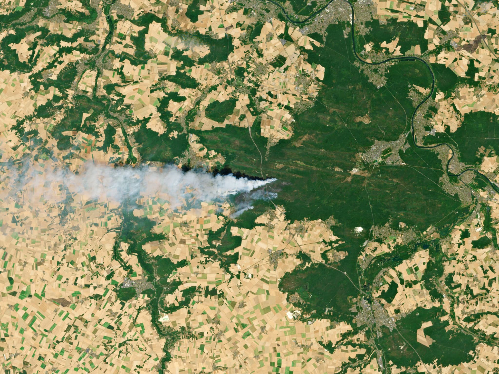Canicule en Europe: Près de 60 interpellations pour les incendies en France