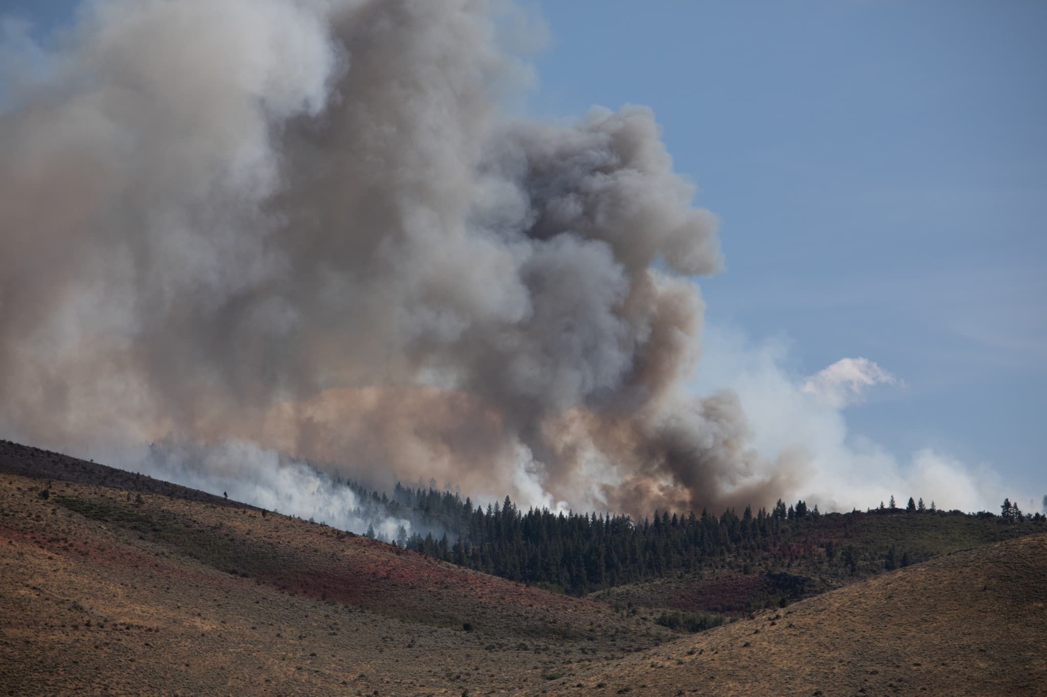 Incendie aux États-Unis: Un feu de forêt au Nevada force 42’000 personnes à évacuer