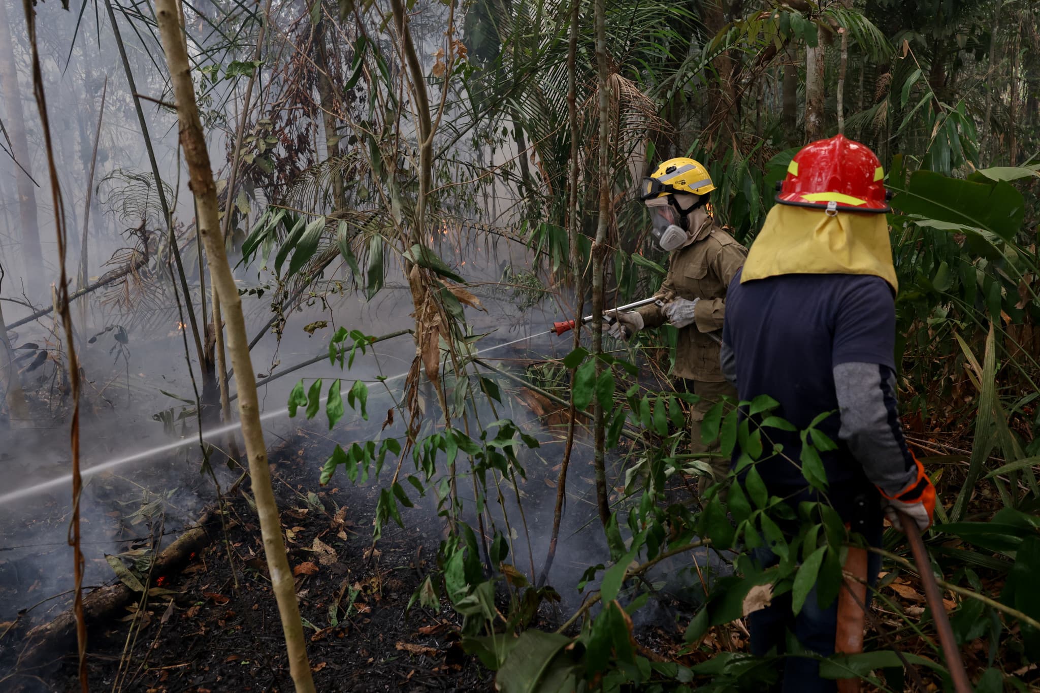 Amazonie brésilienne: La déforestation tombe à son plus bas niveau depuis 1988