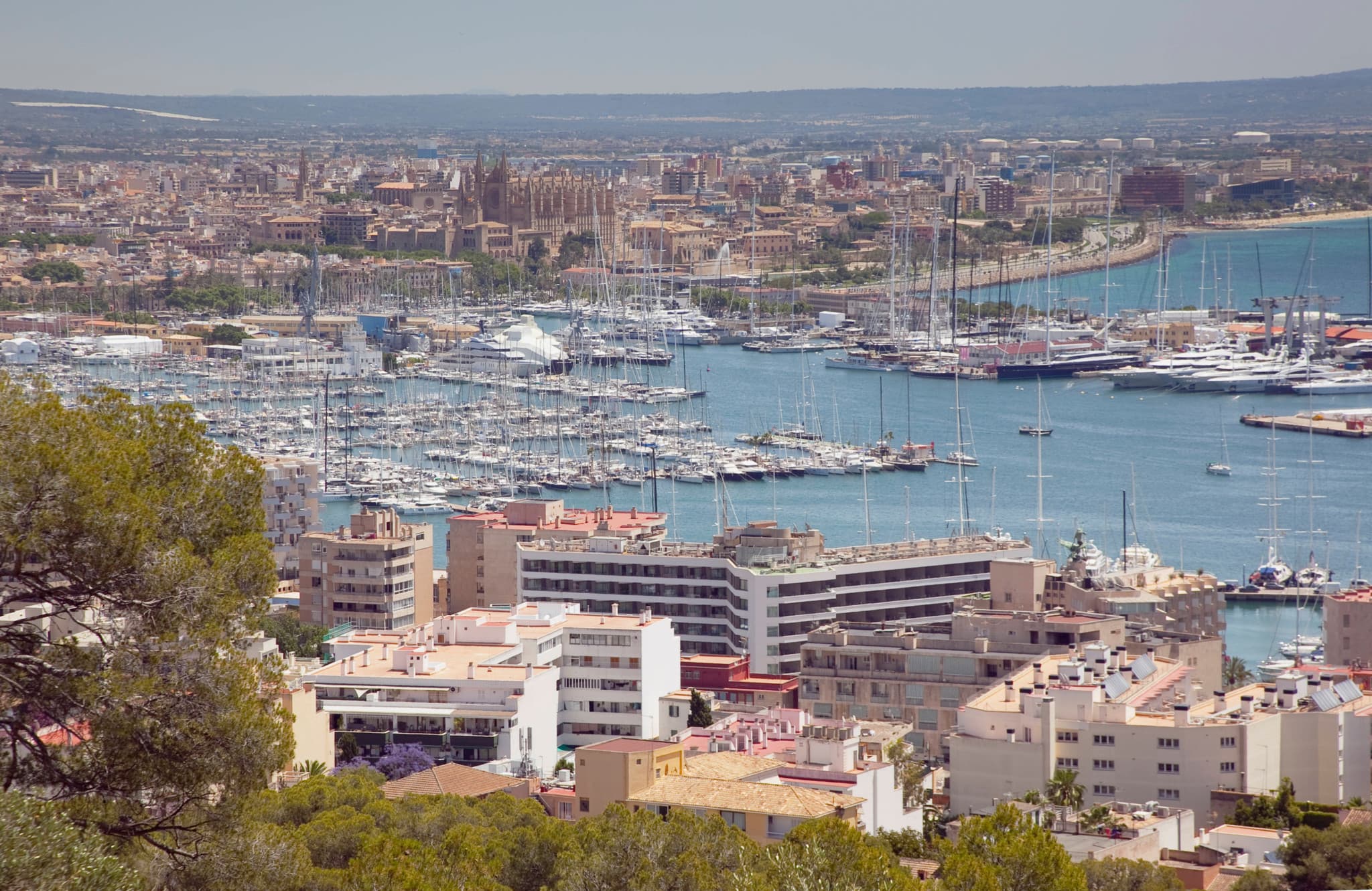 Île de Majorque: Disparue durant des semaines, elle est retrouvée vivante à Palma