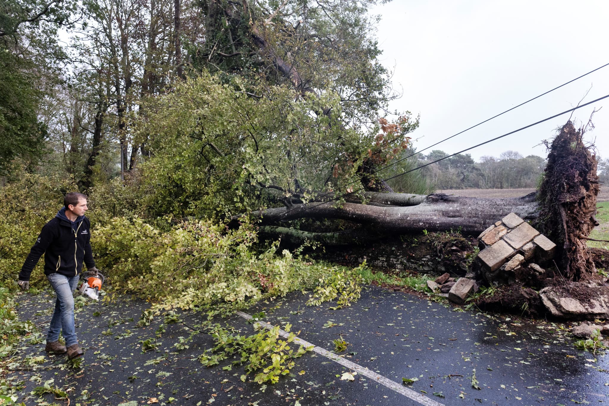 Coupures de courant: La tempête «Austen» prive près de 300’000 foyers d’électricité en France