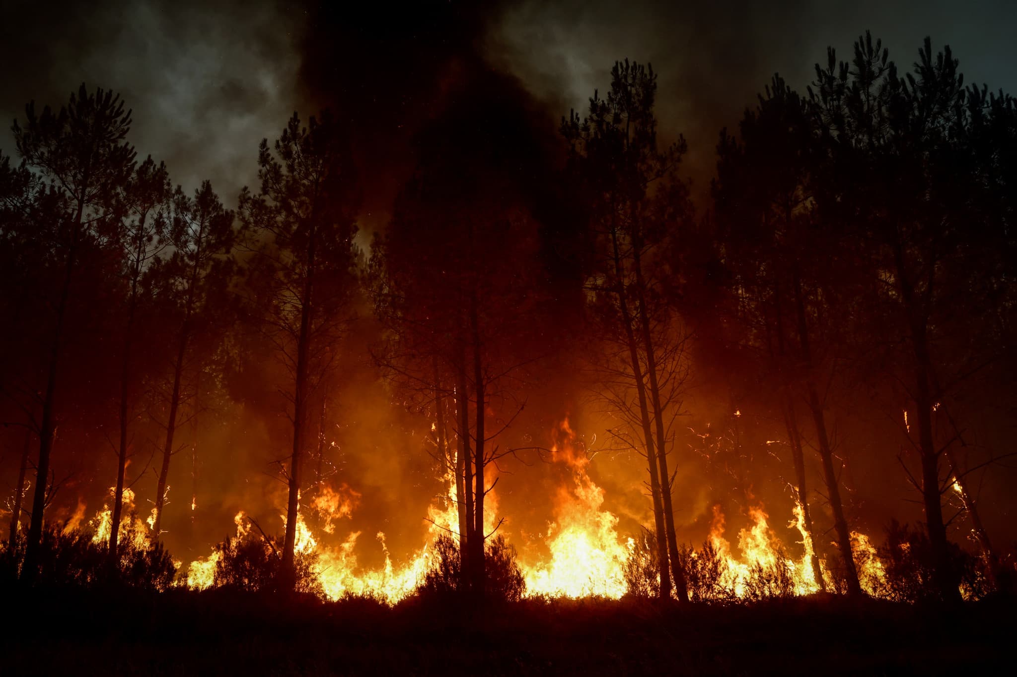 Incendies en Gironde: Pas totalement rassurés, certains habitants évacués retrouvent enfin leur maison