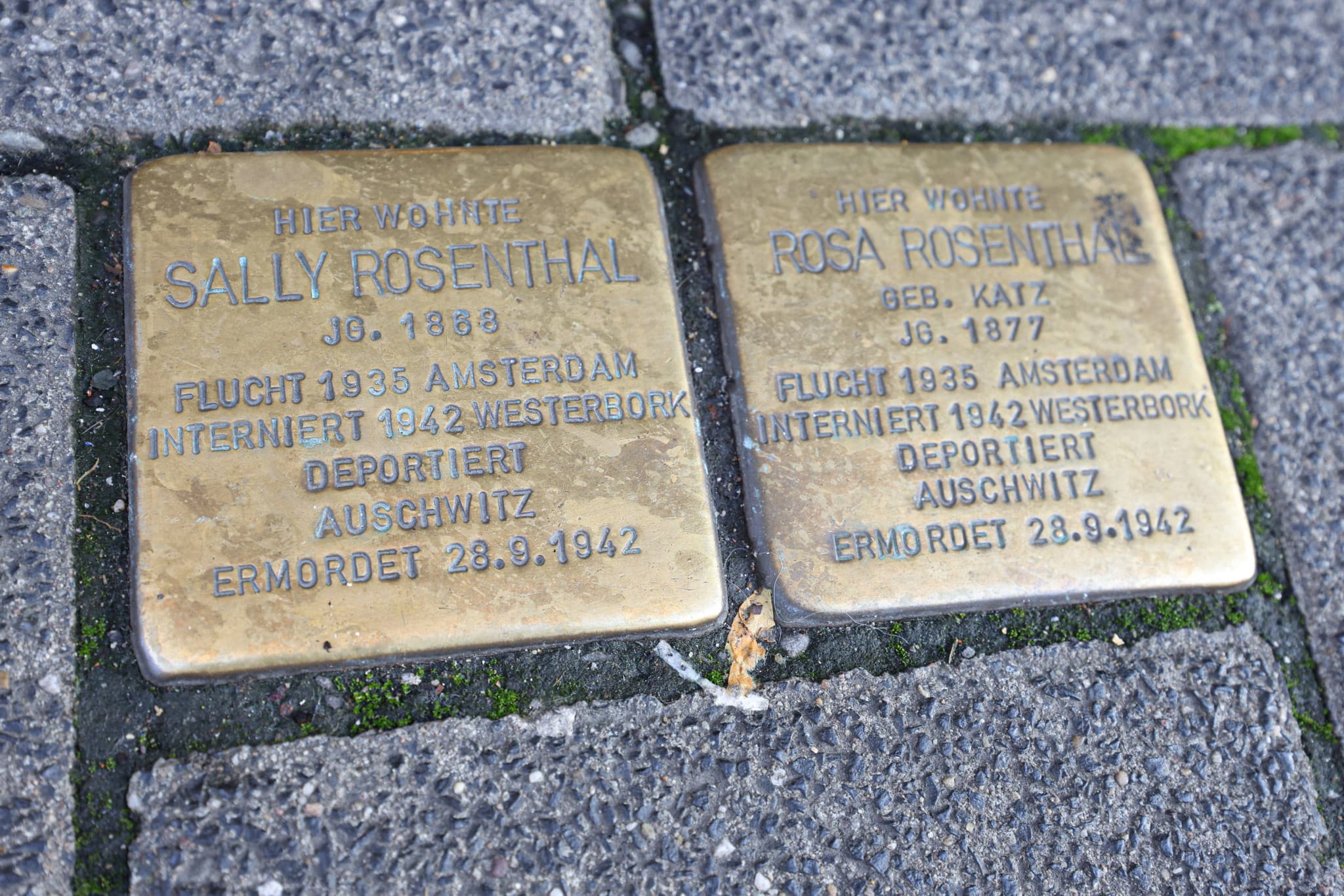 Mémoire du nazisme en Allemagne: En Saxe, la CDU vote avec l’AfD pour bannir les plaques commémoratives