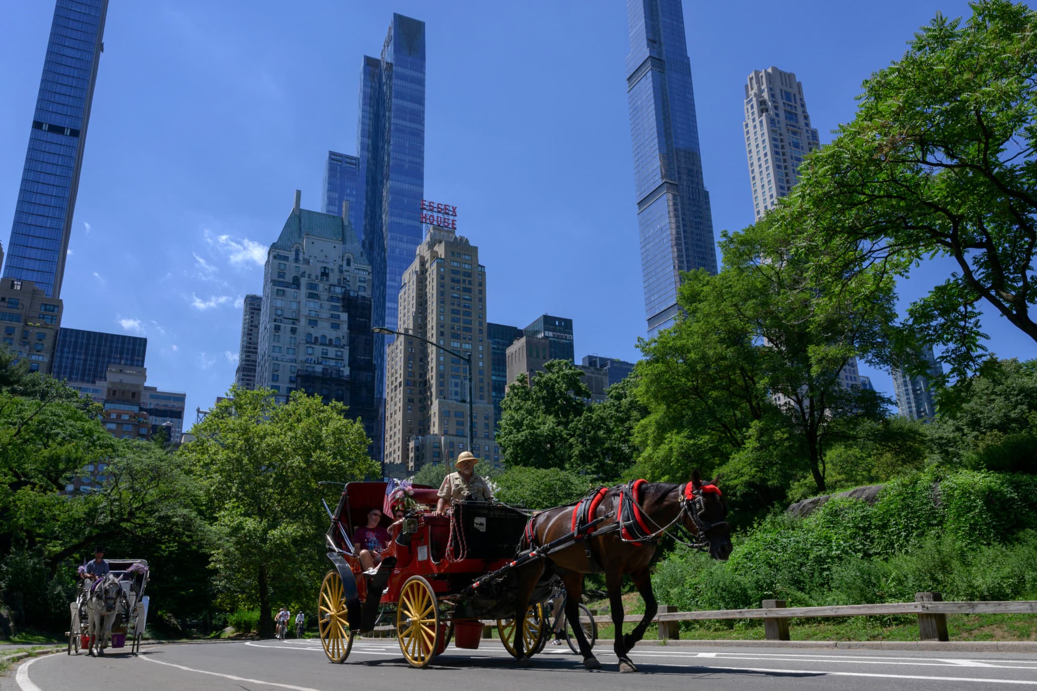 Accident à New York: Un jeune de 18 ans meurt dans un accident de calèche à Central Park