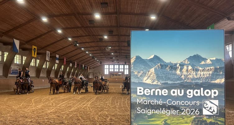 Le Canton de Berne veut dévoiler toute sa culture équine au Marché-Concours