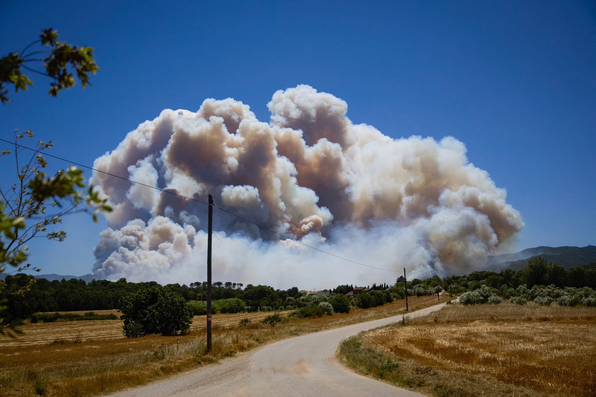 Vague de chaleur: Un feu de forêt fait 12 morts en Andalousie